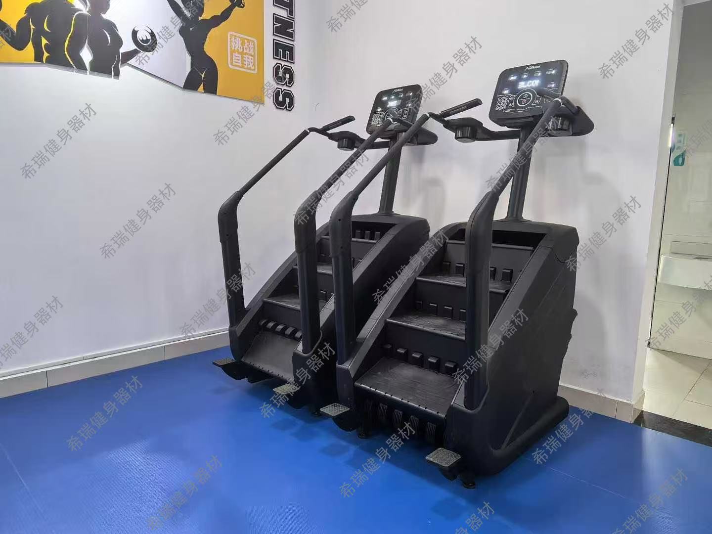 Commercial Cardio Equipment Ex – обзор и цена Home Gym Used