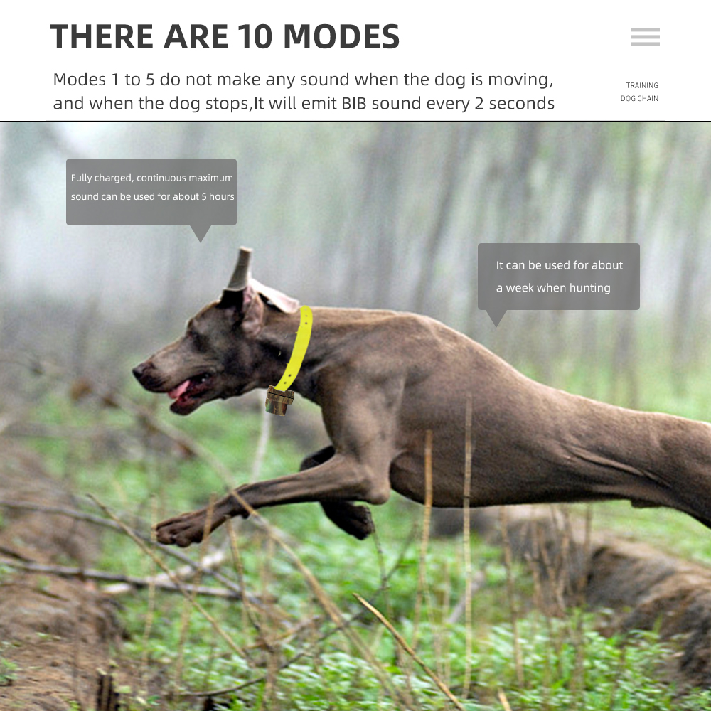 Rechargeable Hunting Dog Beepe – обзор и цена Home Gym App