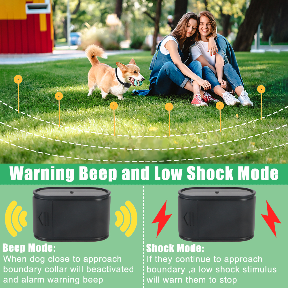 Electric Dog Fence Electronic  – обзор и цена Home Gym App
