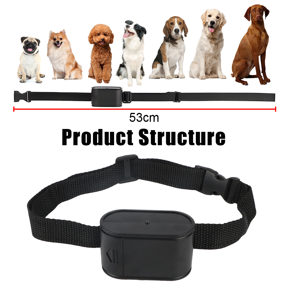 Electric Dog Fence Electronic  – обзор и цена Home Gym App